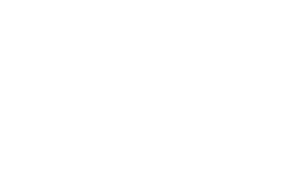 Starlink Logo